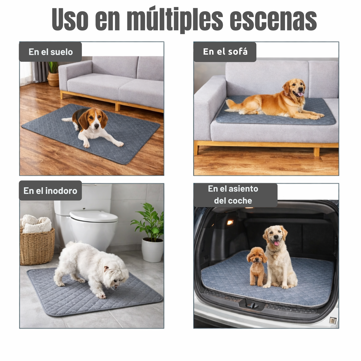 Almohadilla para perros