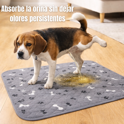 Almohadilla para perros